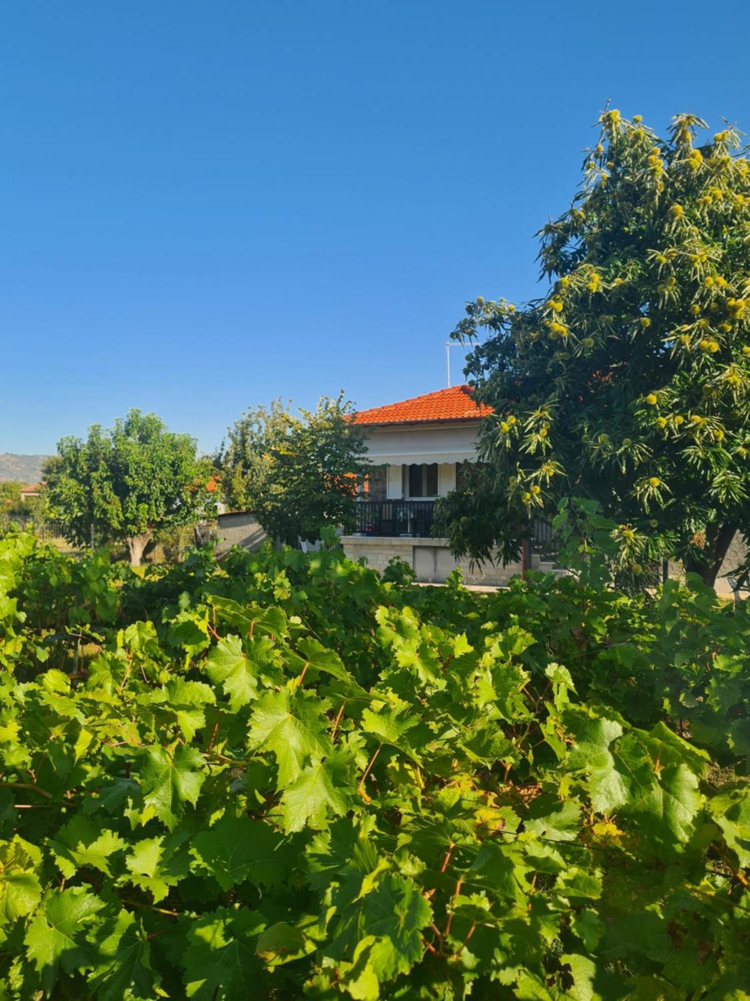 Villa Anna Paliókastron Exterior photo